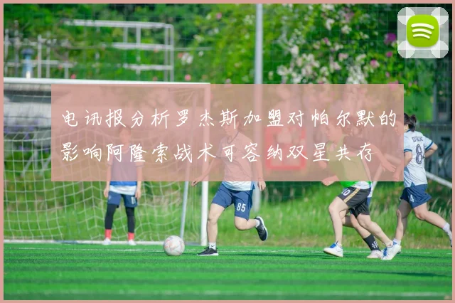 电讯报分析罗杰斯加盟对帕尔默的影响阿隆索战术可容纳双星共存